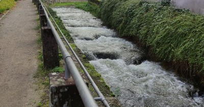 Forêt-Noire - du 28 au 30 septembre 2025 Forêt-Noire - du 28 au 30 septembre 2025