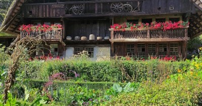 Forêt-Noire - du 28 au 30 septembre 2025 Forêt-Noire - du 28 au 30 septembre 2025