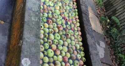 Forêt-Noire - du 28 au 30 septembre 2025 Forêt-Noire - du 28 au 30 septembre 2025