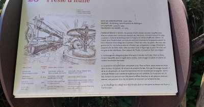 Forêt-Noire - du 28 au 30 septembre 2025 Forêt-Noire - du 28 au 30 septembre 2025