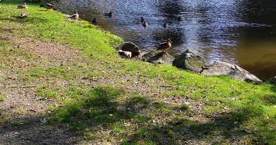 Forêt-Noire - du 28 au 30 septembre 2025 Forêt-Noire - du 28 au 30 septembre 2025