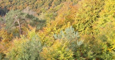Rando à la journée - Châteaux de Fleckenstein et Froensbourg - 16 octobre 2025