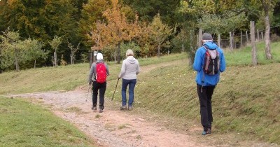 Rando à la journée - Châteaux de Fleckenstein et Froensbourg - 16 octobre 2025