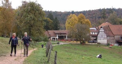 Rando à la journée - Châteaux de Fleckenstein et Froensbourg - 16 octobre 2025