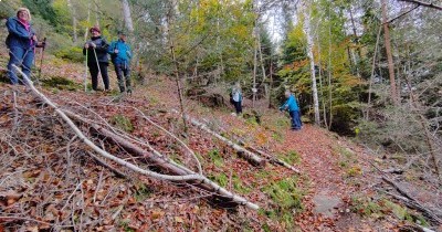 Rando Châtaignes à Oberbronn - 19 octobre 2025