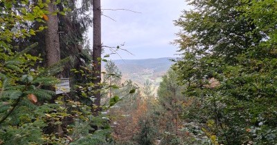 Rando Châtaignes à Oberbronn - 19 octobre 2025