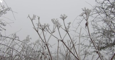 Marche hebdomadaire du mardi