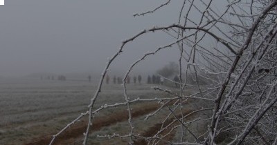 Marche hebdomadaire du mardi