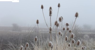 Marche hebdomadaire du mardi