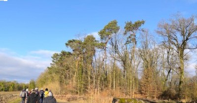Marche hebdomadaire du mardi