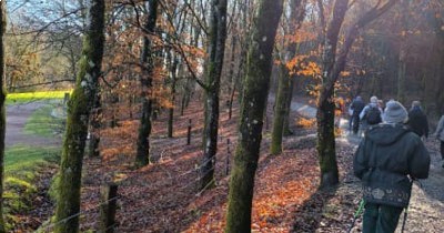Marche hebdomadaire du mardi