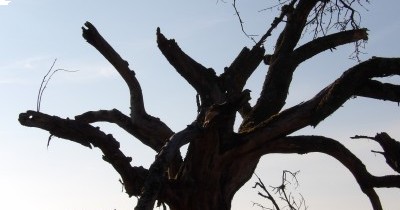 Marche hebdomadaire du mardi