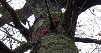 Marche hebdomadaire du mardi