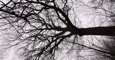 Marche hebdomadaire du mardi