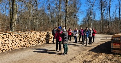 Marche hebdomadaire du mardi