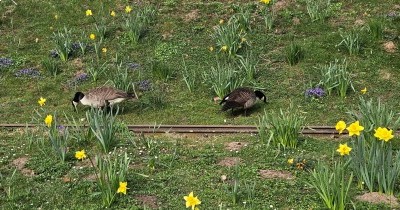 Marche hebdomadaire du mardi