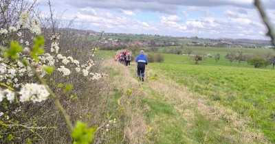 Marche hebdomadaire du mardi