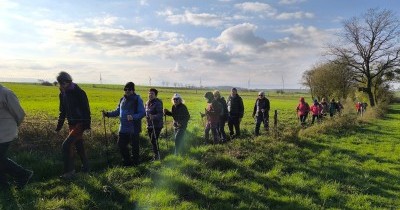 Marche hebdomadaire du mardi