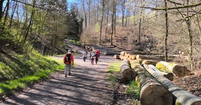 Marche hebdomadaire du mardi