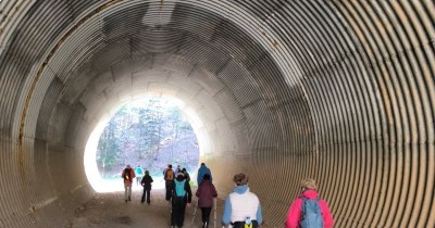 Marche hebdomadaire du mardi
