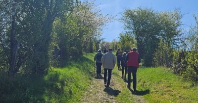 Marche hebdomadaire du mardi