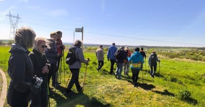 Marche hebdomadaire du mardi
