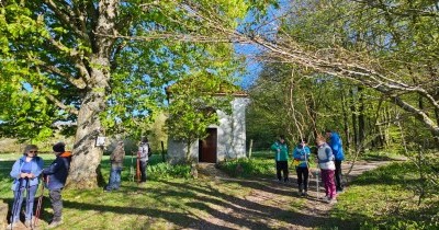 Marche hebdomadaire du mardi