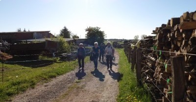 Marche hebdomadaire du mardi