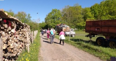 Marche hebdomadaire du mardi