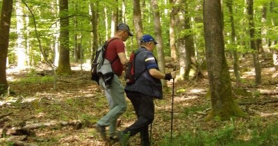 Marche hebdomadaire du mardi