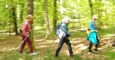 Marche hebdomadaire du mardi