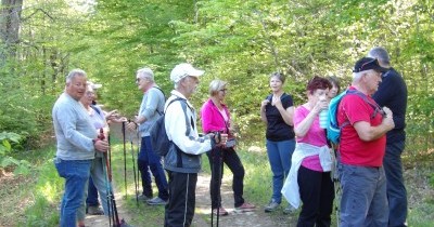 Marche hebdomadaire du mardi