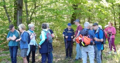 Marche hebdomadaire du mardi