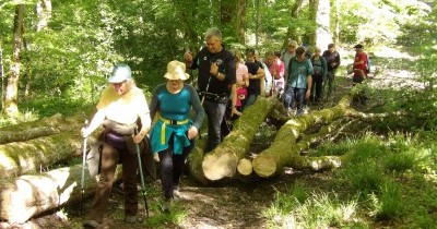 Marche hebdomadaire du mardi