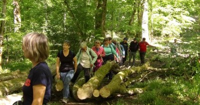 Marche hebdomadaire du mardi