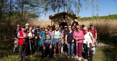 Marche hebdomadaire du mardi