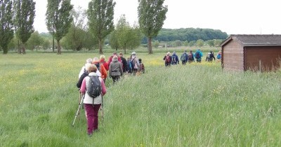 Marche hebdomadaire du mardi