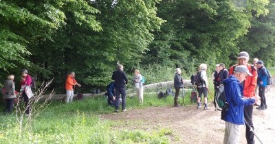 Marche hebdomadaire du mardi