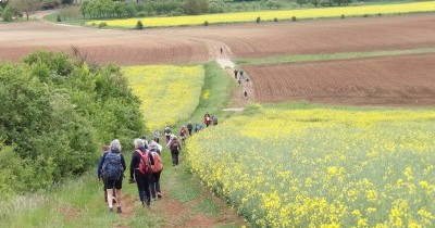 Marche hebdomadaire du mardi