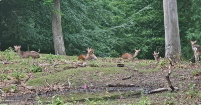 Marche hebdomadaire du mardi