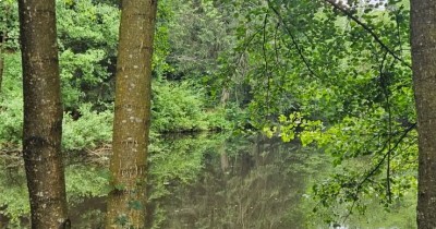 Marche hebdomadaire du mardi