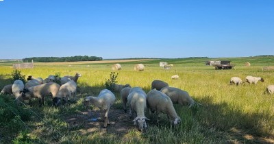 Marche hebdomadaire du mardi