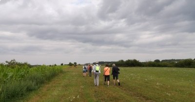 Marche hebdomadaire du mardi