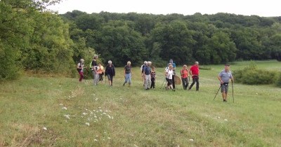 Marche hebdomadaire du mardi