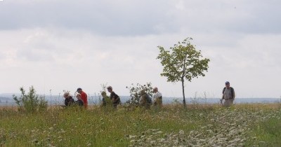 Marche hebdomadaire du mardi