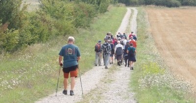 Marche hebdomadaire du mardi