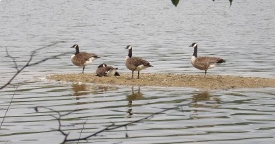 Marche hebdomadaire du mardi
