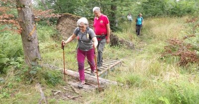 Marche hebdomadaire du mardi