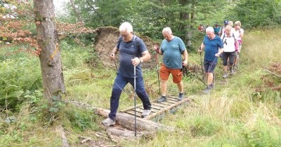 Marche hebdomadaire du mardi