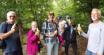 Marche hebdomadaire du mardi